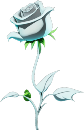 White Rose