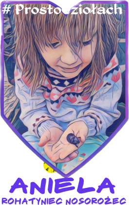 Aniela Rohatyniec nosorożec