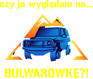 Koszulka off road 2