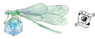 Dragonfly on Dice RPG