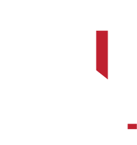Dice - classic - bluza męska