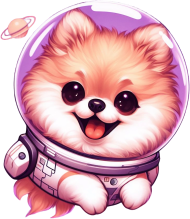 Pomeranian Astronauta