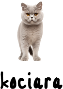 Kubek Cat