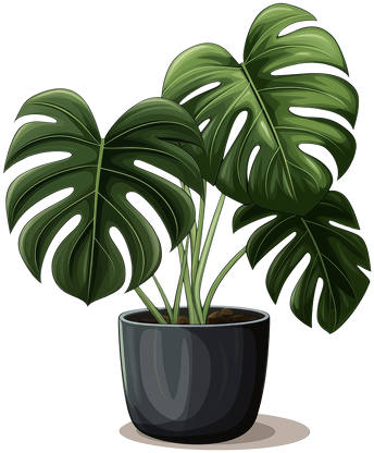 Bluza Monstera