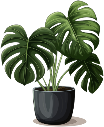 Bluza Monstera