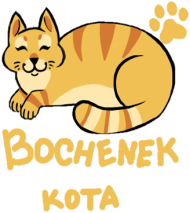 koszulka bochenek kota