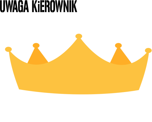 Bluza - Kierownik