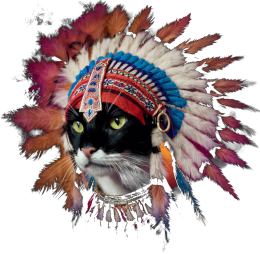 Kot - t-shirt damski