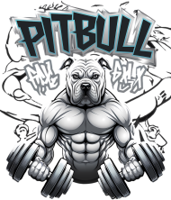 KOSZULKA T-SHIRT PITBULL GYM BIAŁA LUB SZARA  w rozmiarach S, M, L, XL, XXL
