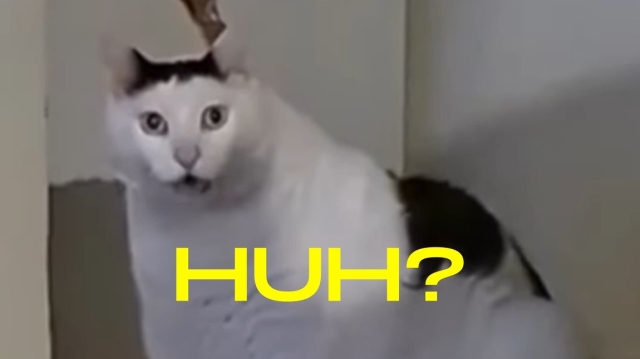 Huh cat meme t-shirt yellow