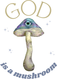 God is a mushroom koszulka