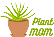 Plant Mom - aloes