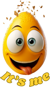 Koszulka damska Śmieszne jajko