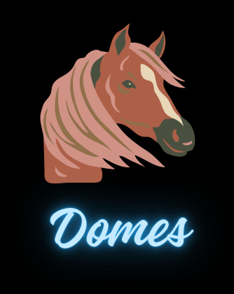 Koszulka koń Domes