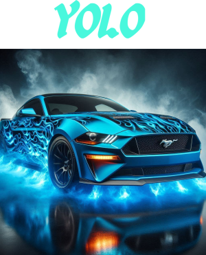 yolo - nadruk