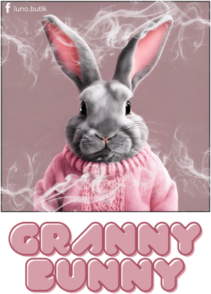 KOSZULKA Z KRÓLIKIEM GRANNY BUNNY MĘSKA eco
