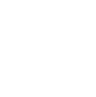 Koszulka Niedźwiedź