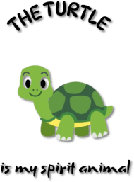 The Turtle is My Spirit Animal