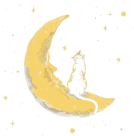 Koszulka kot na księżycu