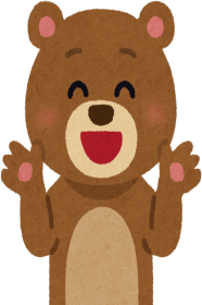 Koszulka Teddy Bear