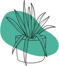 koszulka - plant