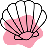 muszelka wakacje