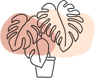 monstera