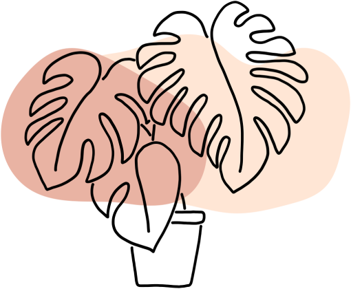 monstera