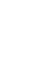 VOICE