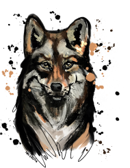 PANEL WOLF