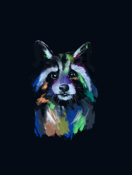 PANEL RACCON