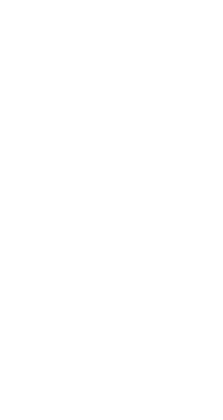 VOICE