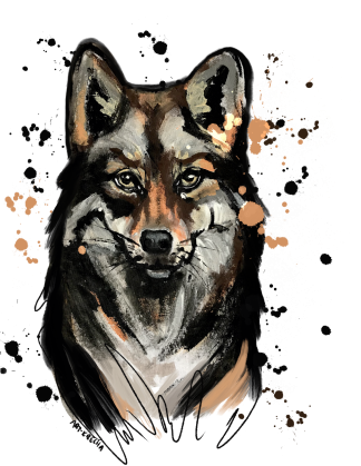 PANEL WOLF