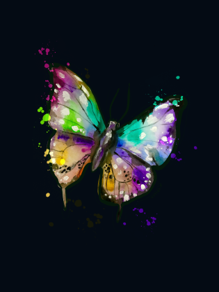 PANEL ENERGY BUTTERFLY