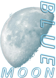 Koszulka damska Blue moon niebieski księżyc