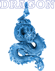 Koszulka chlopięca Dragon Smok