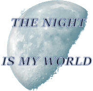 Koszulka damska The night is my world