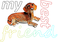 Body dziecięce My best friend dog