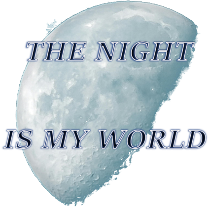 Bluza chłopięca z kapturem The night is my world