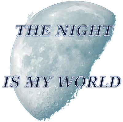 Torba reporterka z napisem The night is my world