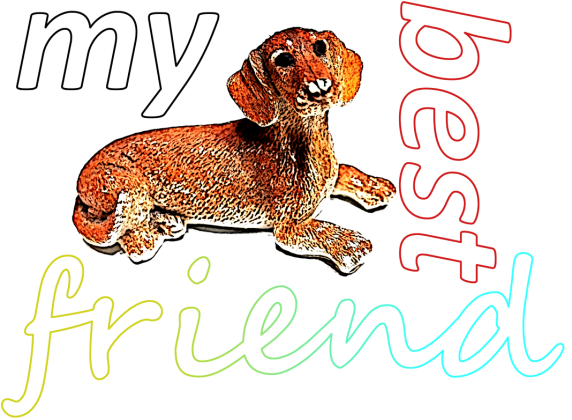 Body dziecięce My best friend dog