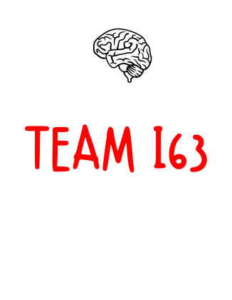 TEAM I63 (B)
