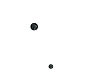 Koszulka męska Smoczy Zakon