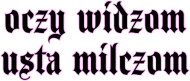 oczy widzom torba