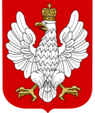 Koszulka Wielka Polska