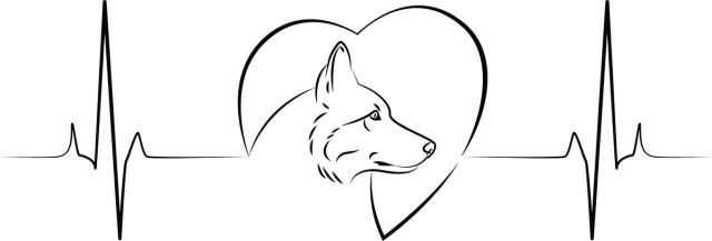 T-shirt - Husky Heartbeat