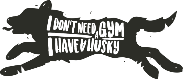 Koszulka damska - I don't need a gym
