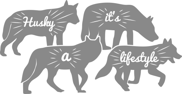 Koszulka Husky it's a lifestyle