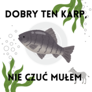 Kubek karp