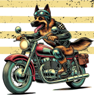 MotoPiknik owczarek niemiecki